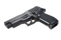 Sig sauer hand gun