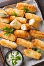 Sigara boregi borek turkish pastry fried with sauce closeup on the wooden board. Vertical top view