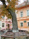 Sighisoara fortress main square