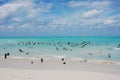 A beach in a Cuban island