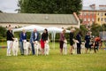 Sighthound dogs outdoor on dog show at summer Royalty Free Stock Photo