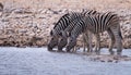 The sights and animals of Namibia in Etosha National Park Royalty Free Stock Photo