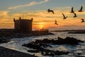 Beautiful sunset in Essaouira port.