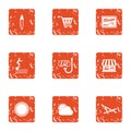 Sightseeing tour icons set, grunge style