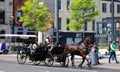 Sightseeing Tours of Dublin courtesy of Dublin Horse Drawn Carriage