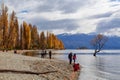 Tourists and `That Wanaka Tree`, Lake Wanaka, New Zealand Royalty Free Stock Photo