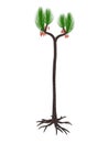 Sigillaria scutellata prehistoric plant - 3D render