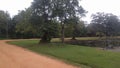 Sigiriya, an ancient kingdom