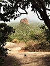 Sigiriya Rock Fortress as viewed from nearby archeological sight of Pidurangala rock.