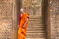 Monk and Lions Paw Rock at Lion Rock Royalty Free Stock Photo