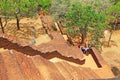 Sigiriya - Sri Lanka UNESCO World Heritage