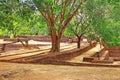Sigiriya Water Garden - Sri Lanka UNESCO World Heritage