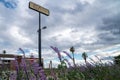 Sign for an abandoned gas station along California Route 111 highway in the Salton Sea. Purple desert lupines wildflowers in Royalty Free Stock Photo