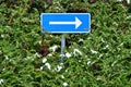 sign with arrow on oneway road standing i hedge