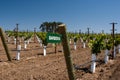 Sign for Barbera Grapes