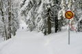 Sign bicycle traffic is prohibited in the winter forest