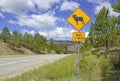 Sign for Bighorn sheep Rocky Mountains, Colorado Royalty Free Stock Photo