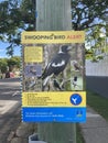 Sign in Brisbane, Queensland, Australia, warning to watch out for swooping birds