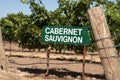 Sign for Cabernet Sauvignon grapes Royalty Free Stock Photo