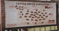 A sign of the cattle drive formation at the Fort Worth Stockyards. Royalty Free Stock Photo
