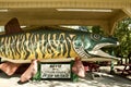 A statue of a Tiger Muskie is found in Nevis, Minnesota.