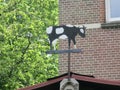 Sign of a cow on the roof of a little barn