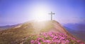 Sign of the cross against the sky. The cross of Jesus on the background of sunrise of the sun. The resurrection of Jesus. Easter Royalty Free Stock Photo