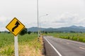 Sign curved road on the way at the natural  Field Or Meadow. Warning attention Right curve sign at Rural highway. Road sign showin Royalty Free Stock Photo