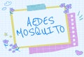 Text sign showing Aedes Mosquito. Concept meaning the yellow fever mosquito that can spread dengue fever Blank Frame