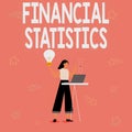 Conceptual caption Financial Statistics. Business approach Comprehensive Set of Stock and Flow Data of a company