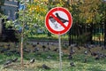 A sign `Do not feed the pigeons` on the background of a flock of birds