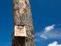 Sign with fire danger phrase in Spanish attached to a tree trunk with a blue sky in the background Royalty Free Stock Photo