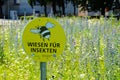 Sign: Flowering meadow for insects.