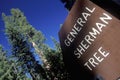 Sign for General Sherman Tree Royalty Free Stock Photo