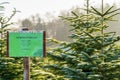 Sign with German lettering `Christmas trees sale` in front of frost covered evergreen fir trees on a Christmas tree farm Royalty Free Stock Photo