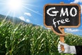 Sign of GMO Free on a Corn Field Royalty Free Stock Photo