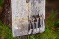 A sign at Hanakapiai Beach warning not to go near the water because of unseen currents Royalty Free Stock Photo