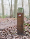 Horsetrack in a dutch forrest