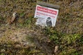 Burrowing owls protective bird site in Florida