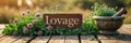 sign inscription lovage, fresh herbs on table, sunny day Royalty Free Stock Photo