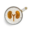 Sign kidney on the beer foam in glass isolated on white background. Top view. Harm of alcohol concept