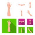 Sign Language cartoon,flat icons in set collection for design.Emotional part of communication vector symbol stock web Royalty Free Stock Photo