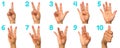 Sign language numbers 1-10 for the deaf . American Sign Language ASL. Hand gesture numbers on a white