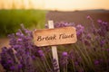 Sign in a lavender field with text: Break- Time - Generative AI Royalty Free Stock Photo