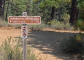 The Commemorative Emigrant Trail in northern California