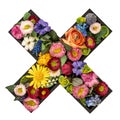 Sign of multiplication made of real natural flowers on transparent background.