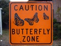 Butterfly zone