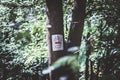 A sign painted on a tree in the forest, a road for bicycles. Royalty Free Stock Photo