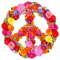 Sign peace from flowers Royalty Free Stock Photo