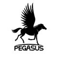 Sign of pegasus.